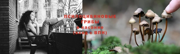 шишки Горно-Алтайск