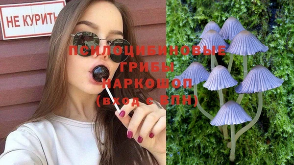 индика Горняк